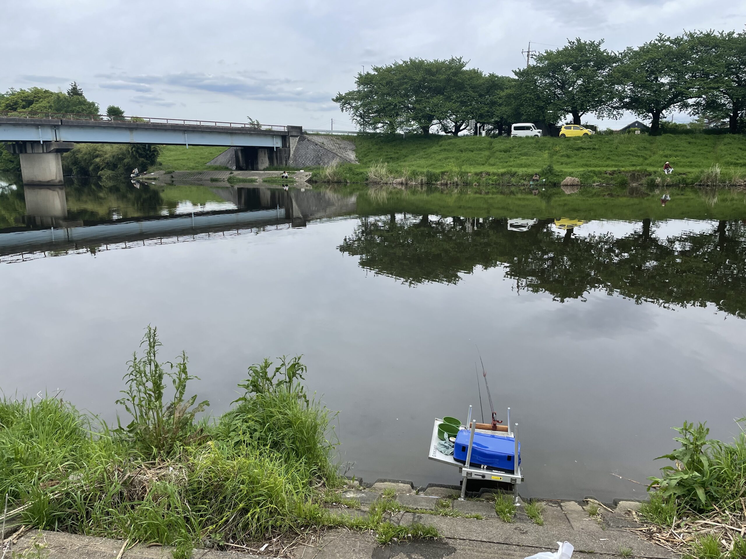 埼玉びん沼ヘラブナ釣り釣行