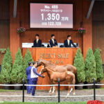 一口馬主　出資する馬　良い馬の見わけ方　重要